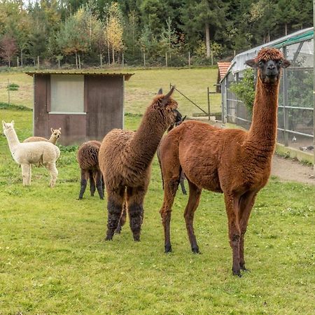 Apartmán Zapfs Bauernhof Stiefmuetterchen Tettnang Exteriér fotografie