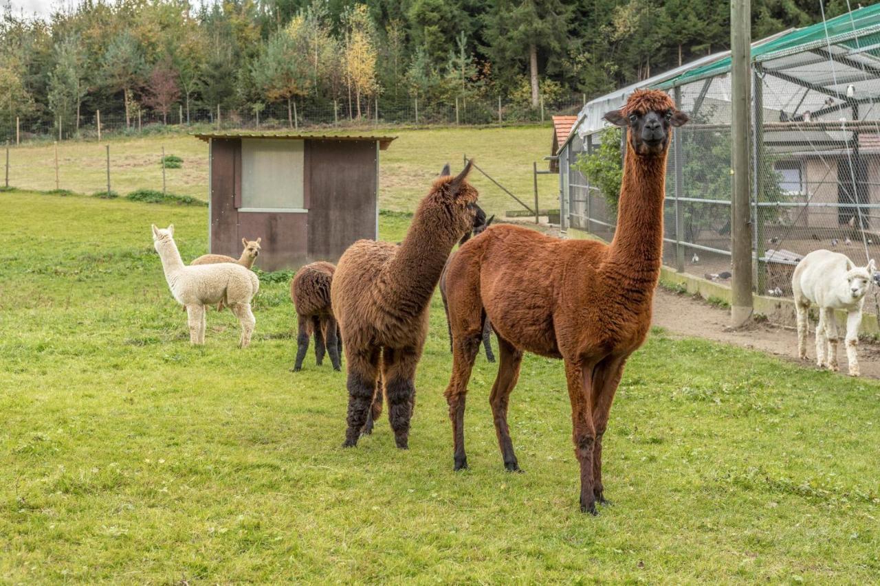 Apartmán Zapfs Bauernhof Stiefmuetterchen Tettnang Exteriér fotografie